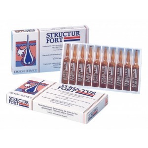 Structur Fort